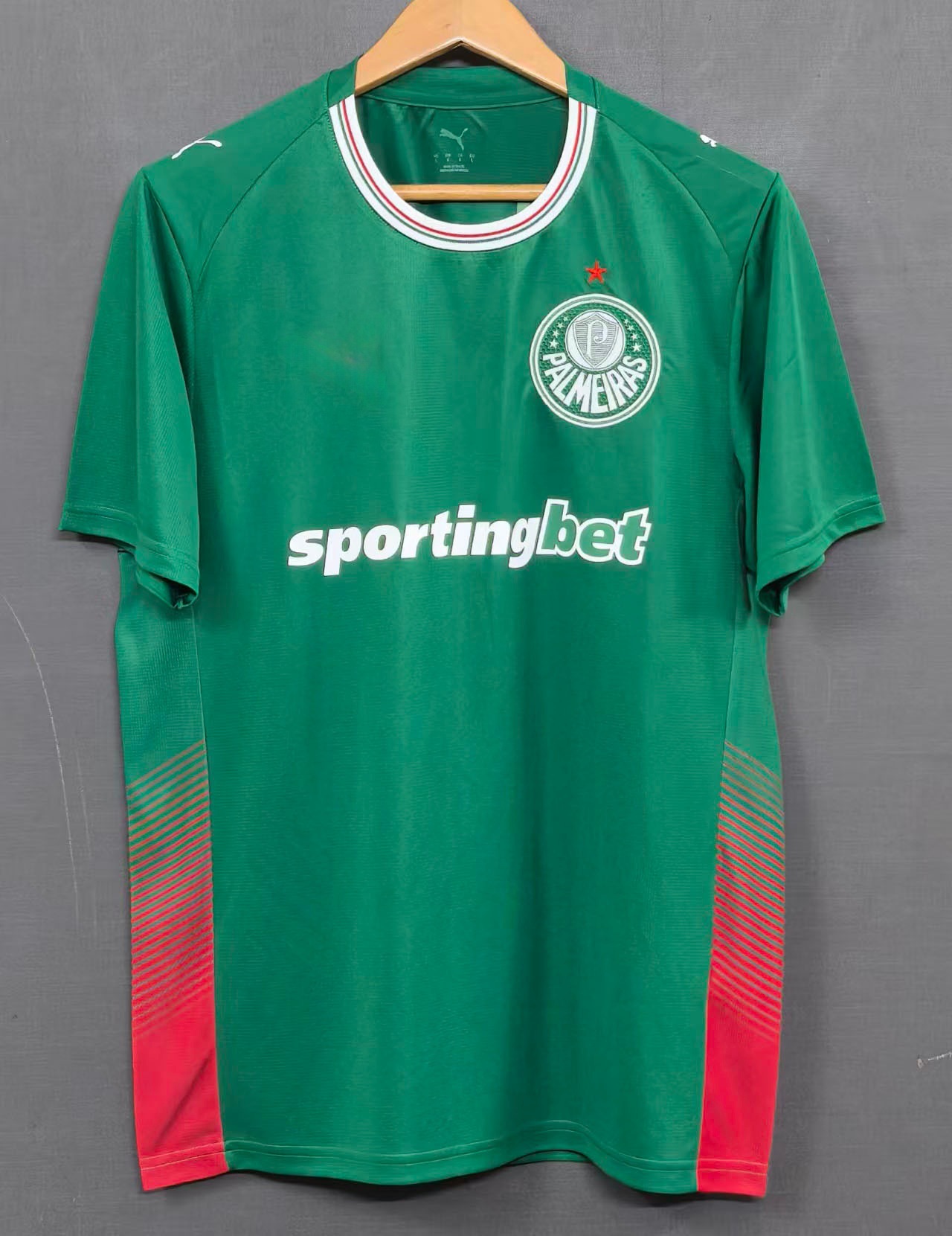 2627帕尔梅拉斯主